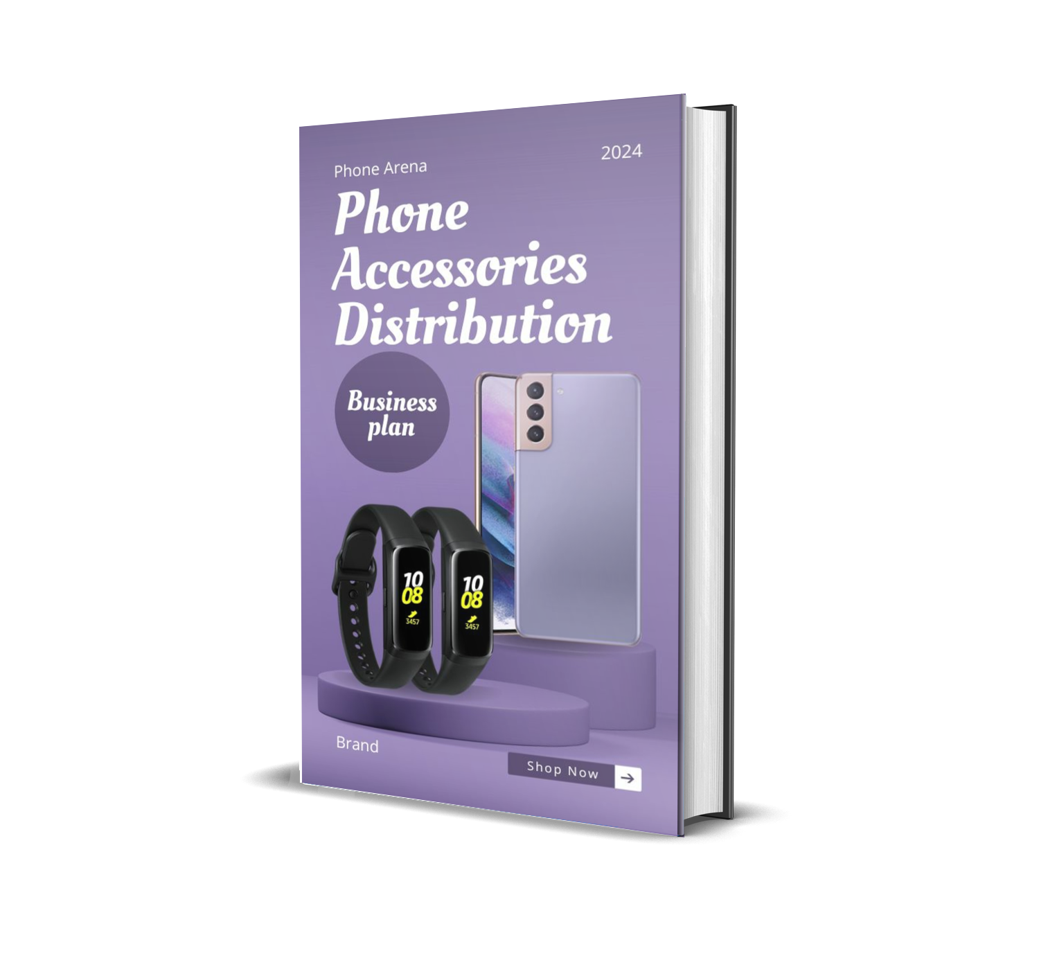 Phone Accessories Distribution business plan